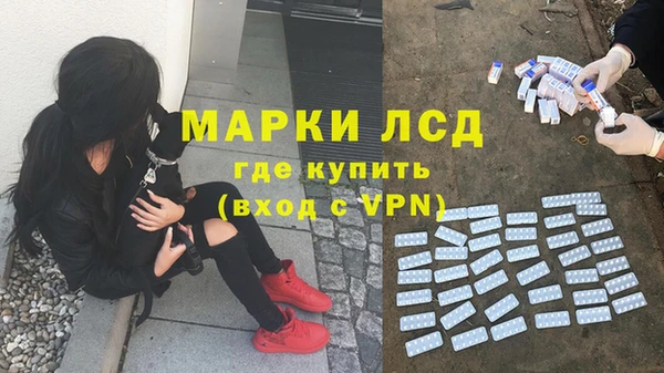 прущие крисы Надым