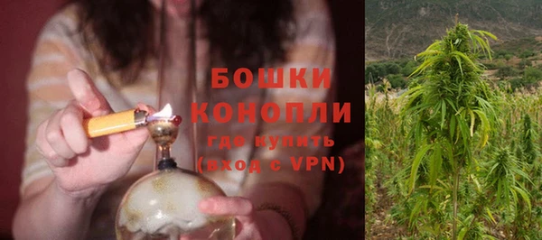прущие крисы Надым
